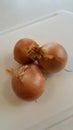 Three onions Royalty Free Stock Photo