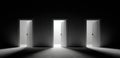 Three Doors: Choice and Opportunity Royalty Free Stock Photo