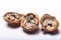Three opened amomum villosum lour dried fruits