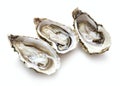 Three opened oysters