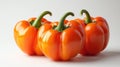 Three Orange Bell Peppers on White Background Royalty Free Stock Photo