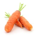 Three orange carrots Royalty Free Stock Photo
