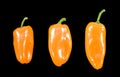 Three orange chillies on black background