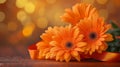 Three Orange Gerbera Daisies Resting On Ribbon Royalty Free Stock Photo