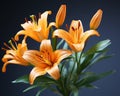 three orange lilies are in a vase on a dark background Royalty Free Stock Photo