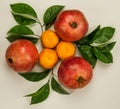 Three orange mandarins with three red pomegranates Royalty Free Stock Photo