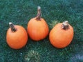 Three orange pumpkins. 