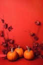 Three orange pumpkins on red background with dry twigs and fall leaves. . Royalty Free Stock Photo