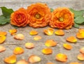 Three orange roses on table Royalty Free Stock Photo