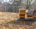 Three orange and yellow beehives in Prague botanical gardens, Troja