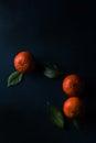 Three oranges blue background