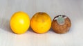 Three mandarins in the drying out stage. A fresh orange, an orange that begins to deteriorate, and spoiled rotten with mold Royalty Free Stock Photo