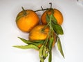 Three Oranges with white Background Royalty Free Stock Photo