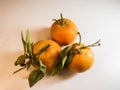 Three Oranges with white Background Royalty Free Stock Photo