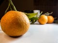 Three Oranges with white Background Royalty Free Stock Photo