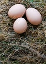 Three organic hen eggs, bio produce