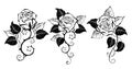 Three outline roses on white background Royalty Free Stock Photo