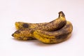 Three overripe bananas with yellow peel covered with brown spots lying on a light surface.