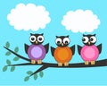 Three owls Royalty Free Stock Photo