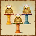 Three owls with books sitting on the podium