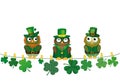 Three owls in the national costume for Patrick day sitting on rope