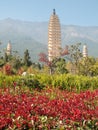 Three pagodas Dali, China Royalty Free Stock Photo