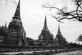Three pagodas temple in ayutthaya,Thailand - White and black Royalty Free Stock Photo