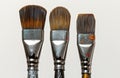 Three paint brushes arranged in a row against a white backdrop, celebrate artistic day Royalty Free Stock Photo