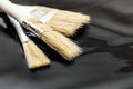 Three paint brushes on black reflective background