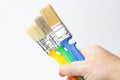 Three paint brushes with colored handle in the right hand of a worker close-up on a white background Royalty Free Stock Photo