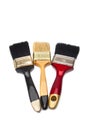 Three paint brushes of different colors