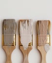Three Paint Brushes With Different Shades of Paint