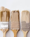 Three Paint Brushes With Different Shades of Paint
