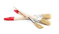 Three paint brushes on white background