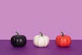 Three painted decorative pumpkins on purple background.