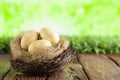 Three painted Easter eggs in the nest on table and green nature background Royalty Free Stock Photo