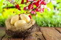 Three painted Easter eggs in the nest on table and nature background Royalty Free Stock Photo