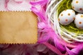 Three painted Easter eggs in the nest, white and pink feathers a