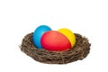 three painted eggs: red, blue and yellow in a nest Royalty Free Stock Photo