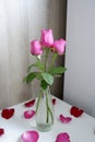 Three pale pink roses in a clear glass vase on a white table