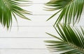 Three palm branches on a white wooden background.