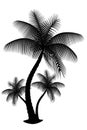 Three palm silhouette isolate Royalty Free Stock Photo