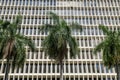 Three palm trees at the front of a building with tall reflective windows at Miami, Florida Royalty Free Stock Photo