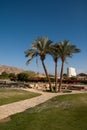 Three palm trees on site.