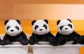 Three panda teddy bears on an orange background Royalty Free Stock Photo