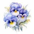 Realistic Watercolor Pansy Illustration With Powerful Symbolism Royalty Free Stock Photo