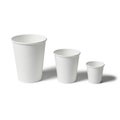 Three paper cups isolated on white background Royalty Free Stock Photo