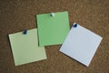 Three paper notes green, white and yellow color on a cork Board, attached with a white pushpin. Copy space Royalty Free Stock Photo