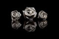 Three paper roses made from book pages isolated on black