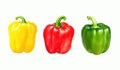 Three Paprika Bell Peppers Illustration isolated on white Royalty Free Stock Photo